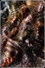 Abstract Works: Uncontrol