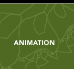 Animation