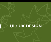 UI/UX Design