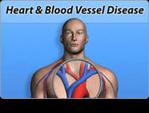 Staywell Custom Communications Diabetes Cholesterol